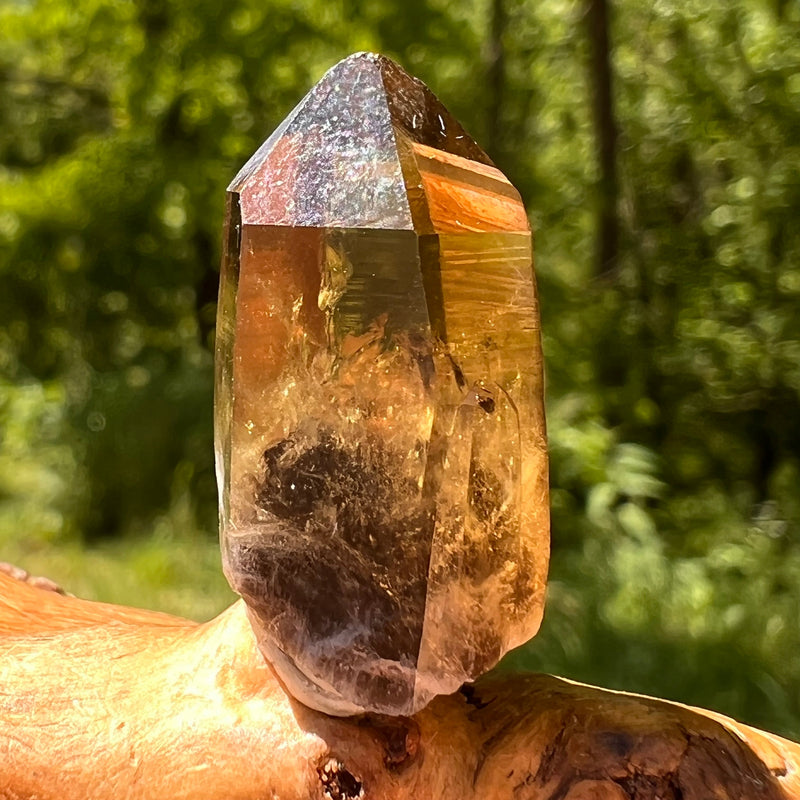 Natural Citrine Smoky Phantom Crystal #55-Moldavite Life