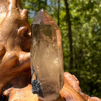 Natural Citrine Smoky Phantom Crystal #56-Moldavite Life