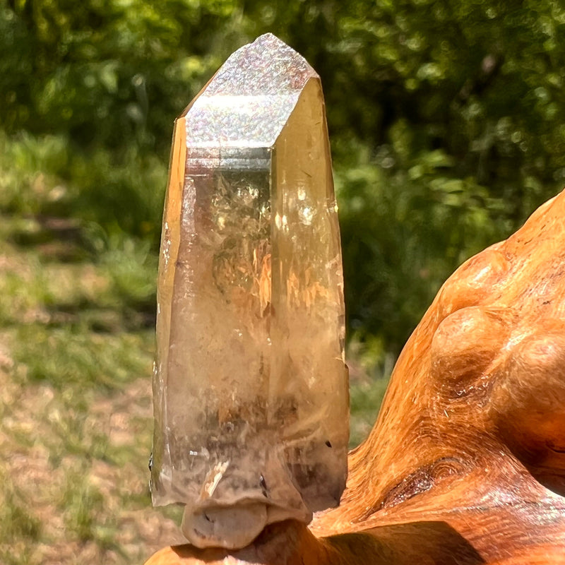 Natural Citrine Smoky Phantom Crystal #56-Moldavite Life