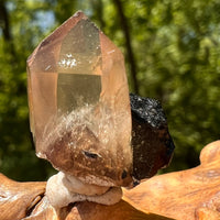 Natural Citrine Smoky Phantom Crystal #58-Moldavite Life