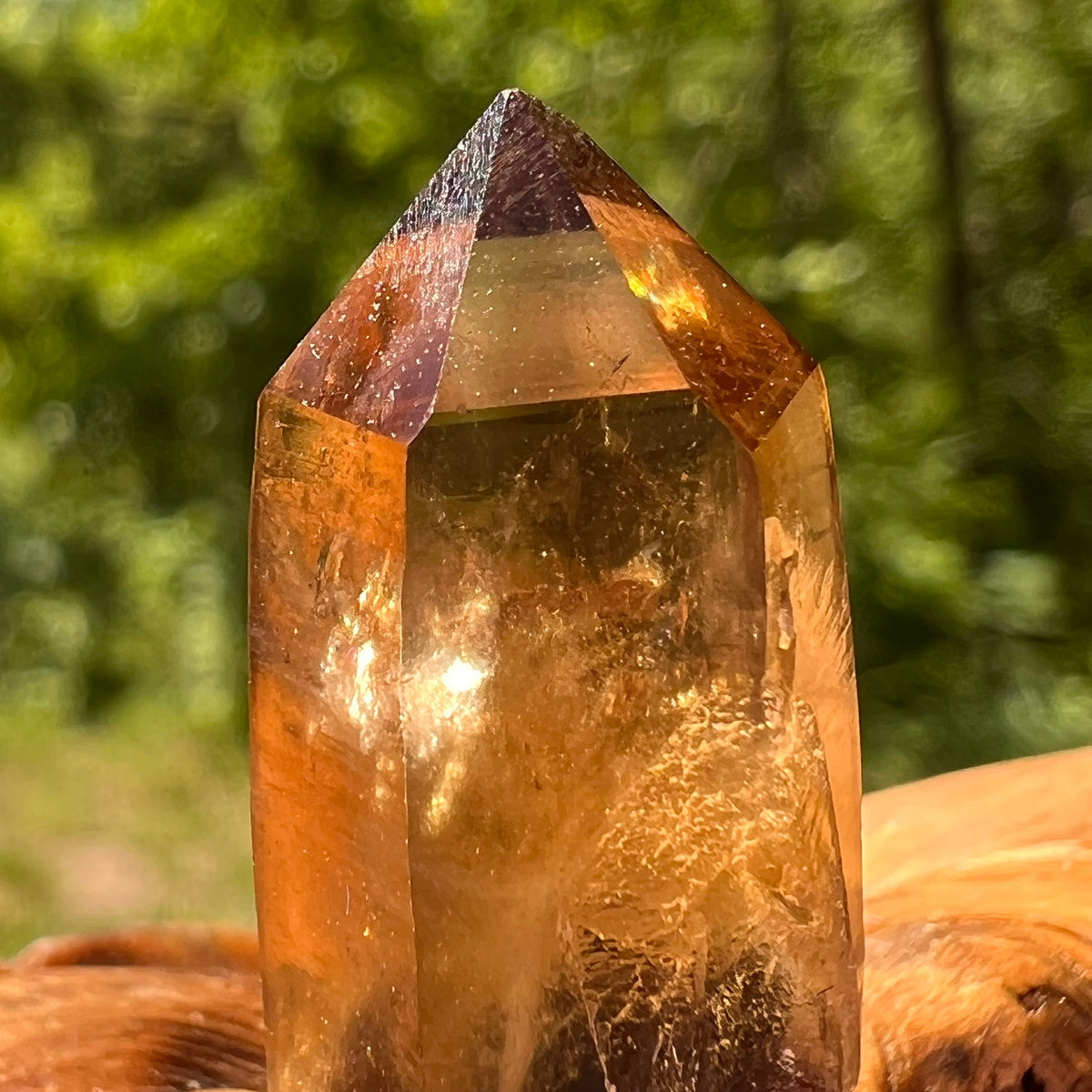 Natural Citrine Smoky Phantom Crystal #59-Moldavite Life