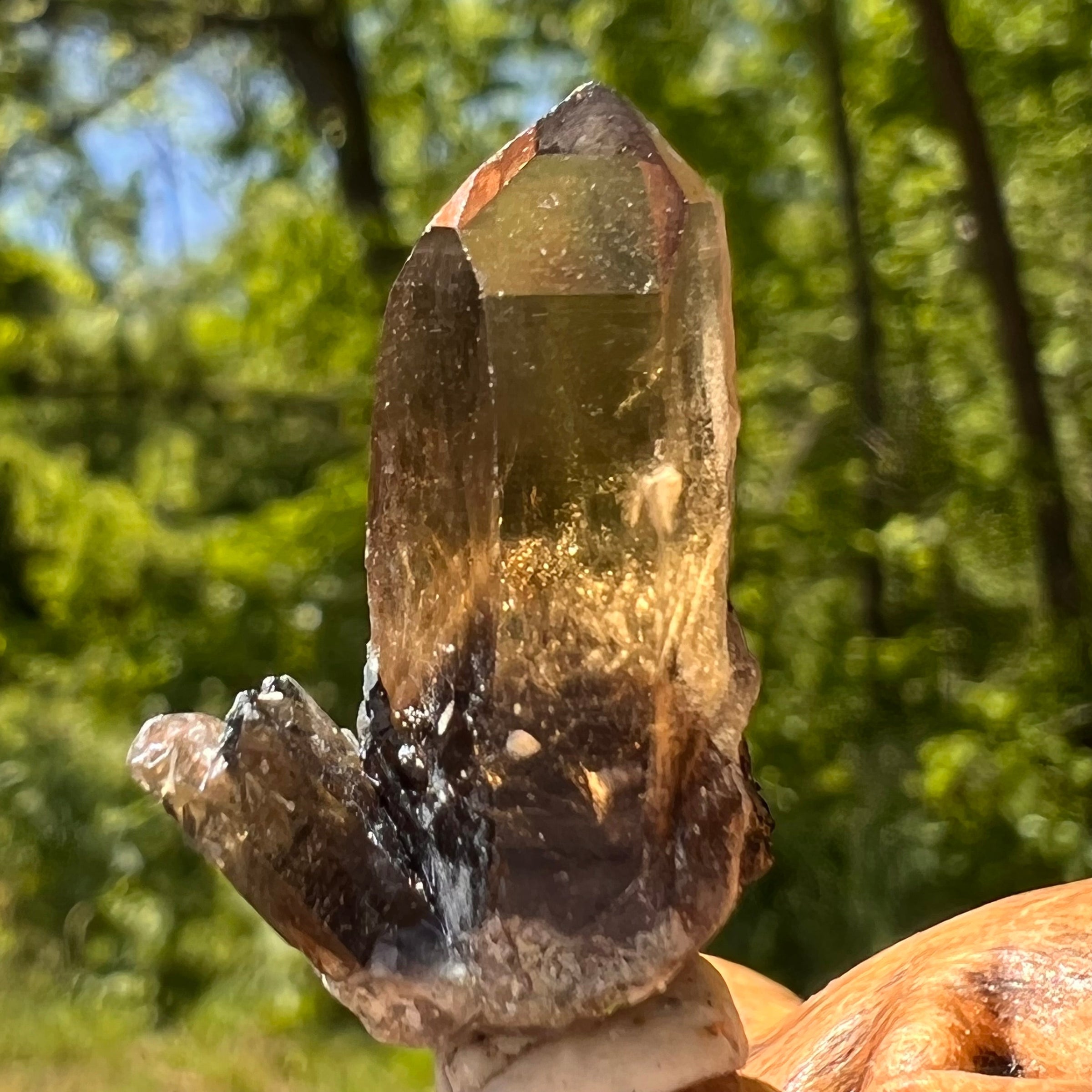 Natural Citrine Smoky Phantom Crystal #60-Moldavite Life