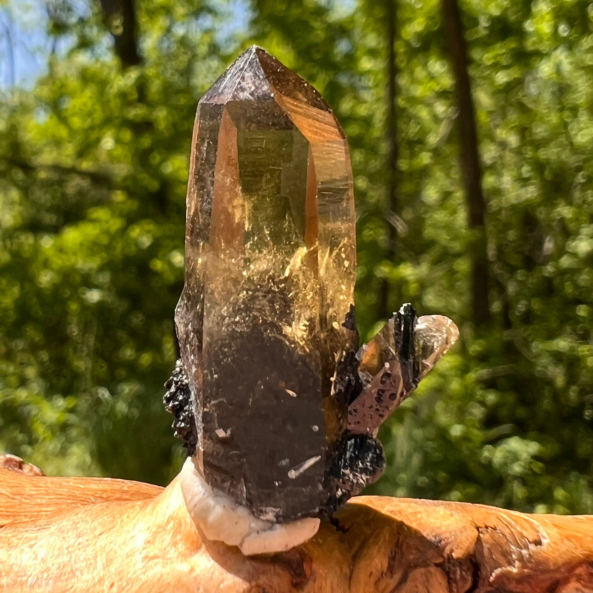 Natural Citrine Smoky Phantom Crystal #60-Moldavite Life