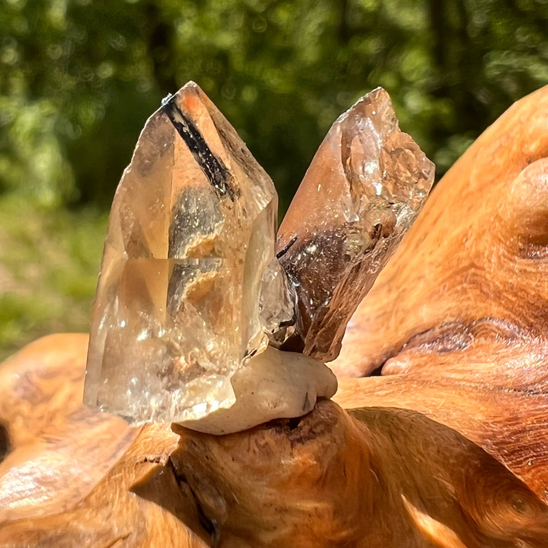 Natural Citrine Smoky Phantom Crystal #62-Moldavite Life
