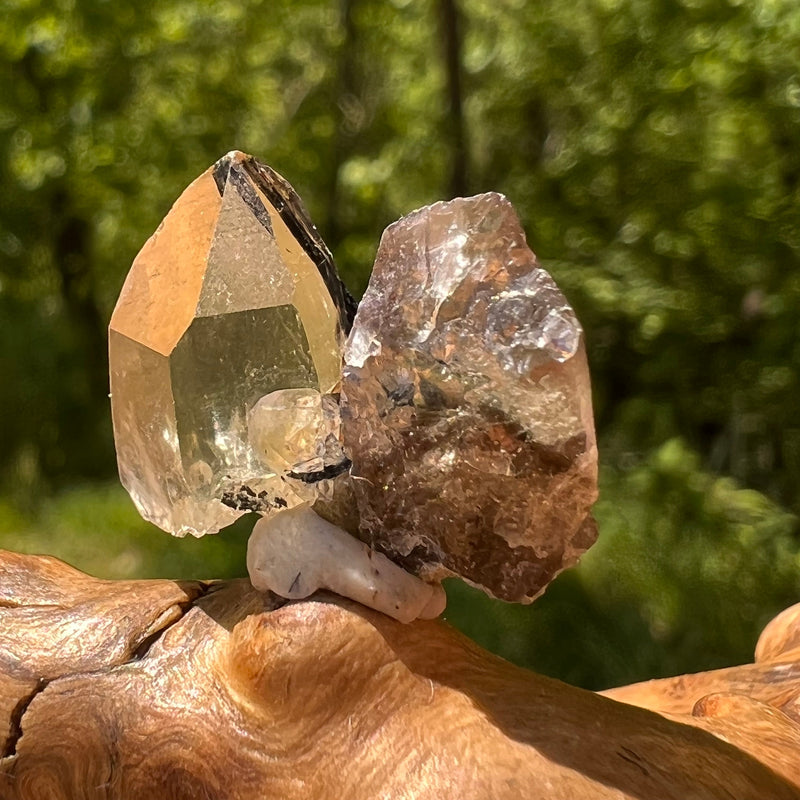 Natural Citrine Smoky Phantom Crystal #62-Moldavite Life