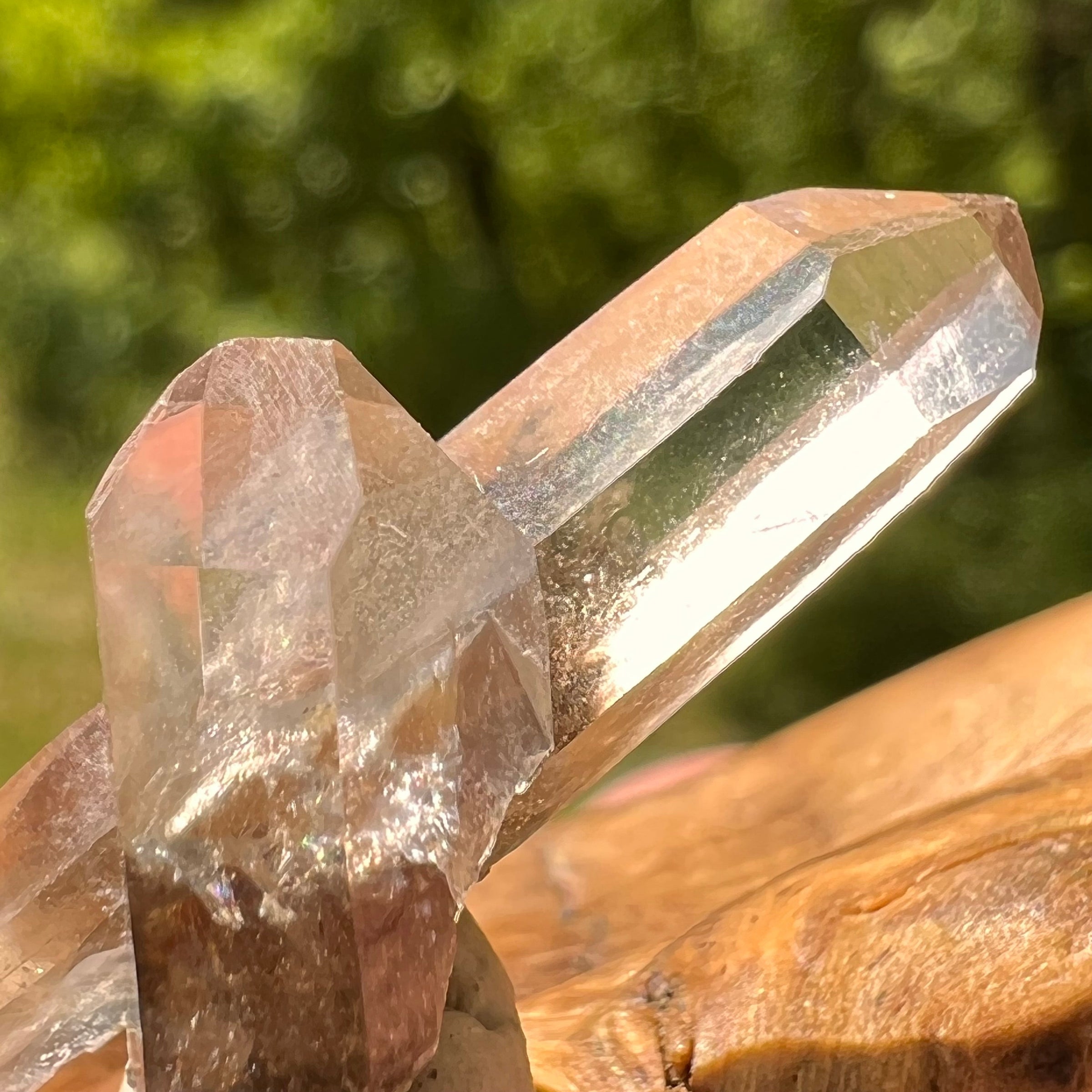 Natural Citrine Smoky Phantom Crystal #65-Moldavite Life