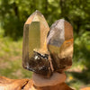 Natural Citrine Smoky Phantom Crystal #66-Moldavite Life
