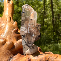 Natural Citrine Smoky Phantom Crystal #67-Moldavite Life