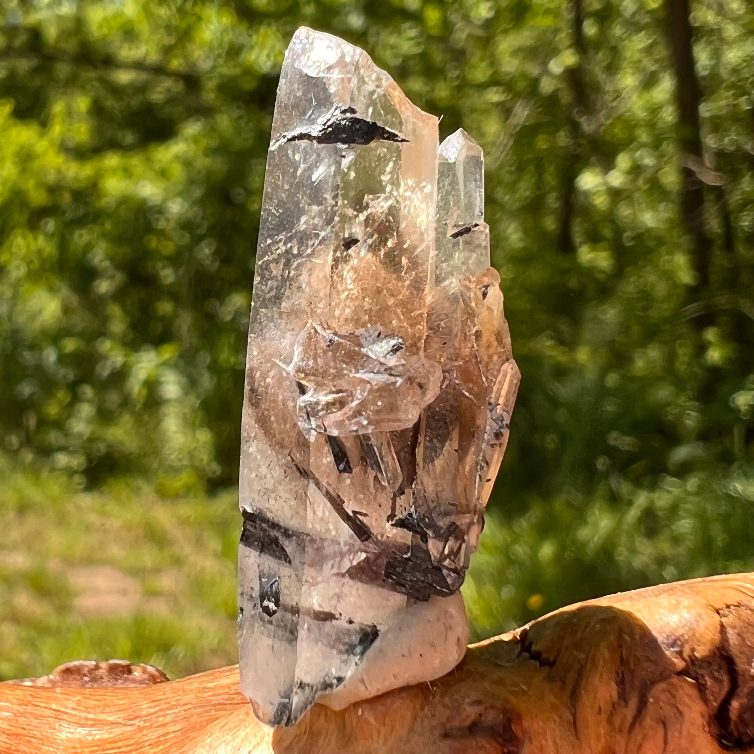 Natural Citrine Smoky Phantom Crystal #67-Moldavite Life