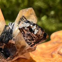 Natural Citrine Smoky Phantom Crystal #68-Moldavite Life