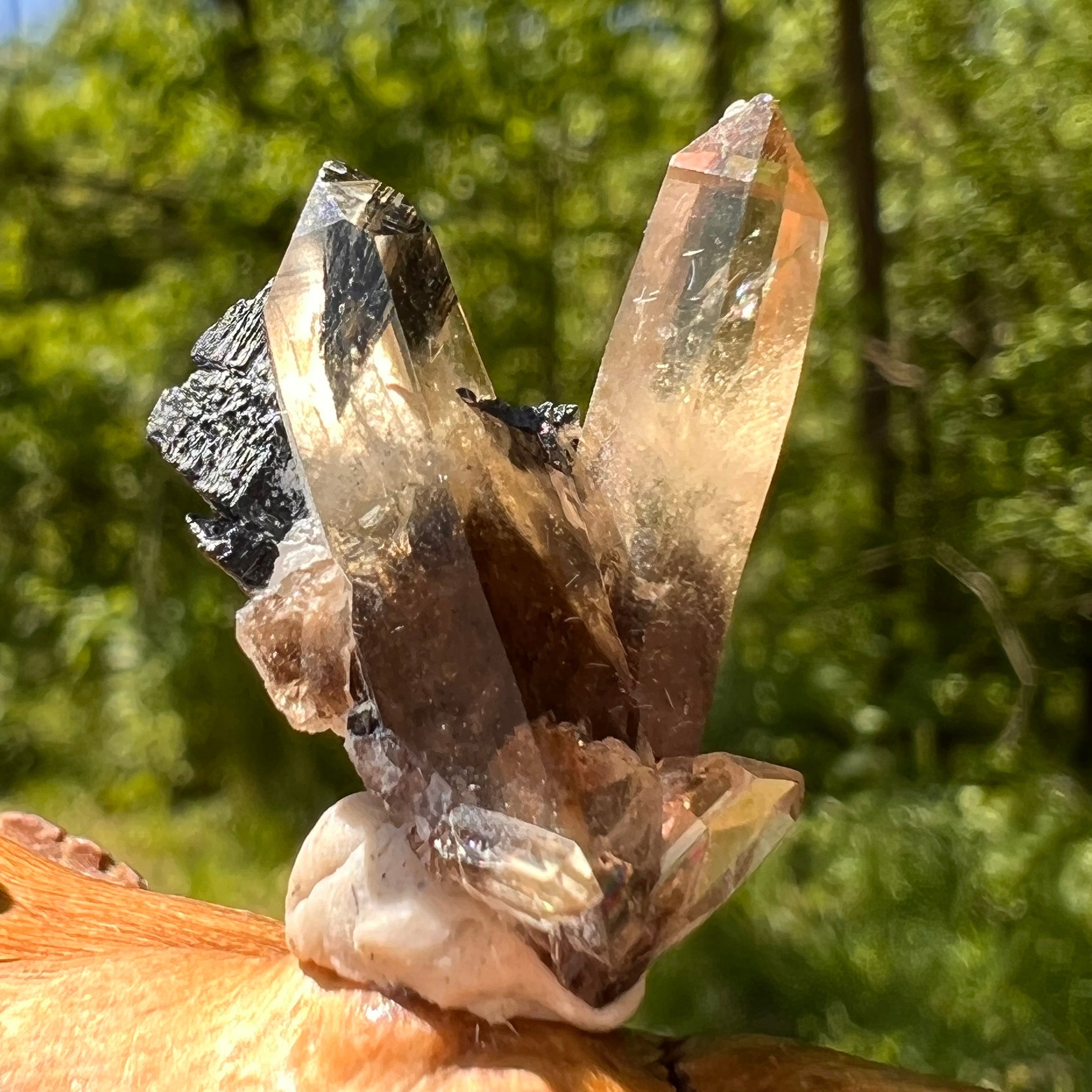 Natural Citrine Smoky Phantom Crystal #68-Moldavite Life