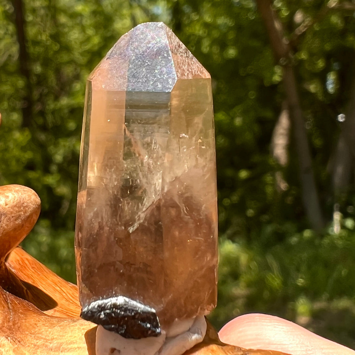 Natural Citrine Smoky Phantom Crystal #7-Moldavite Life