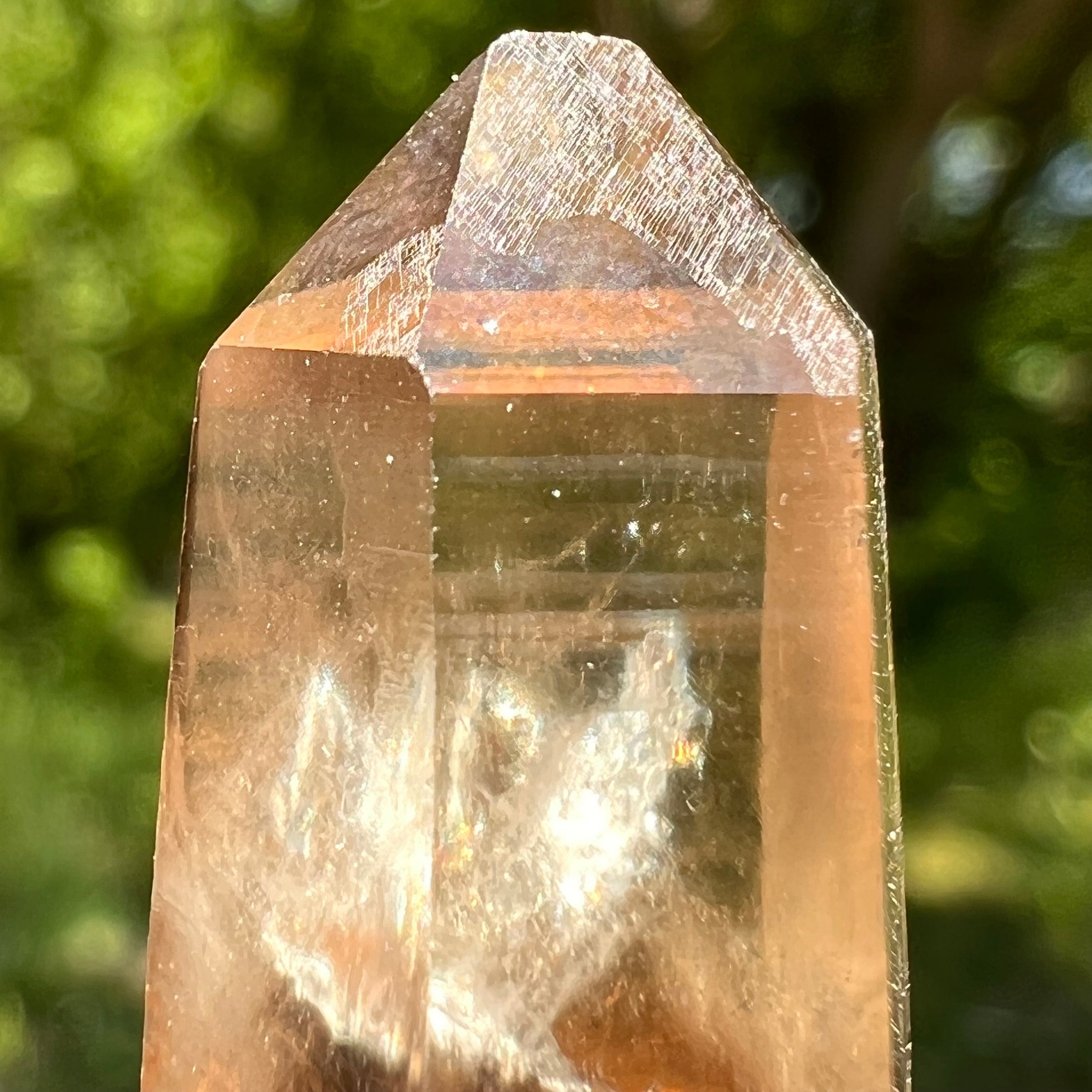 Natural Citrine Smoky Phantom Crystal #7-Moldavite Life