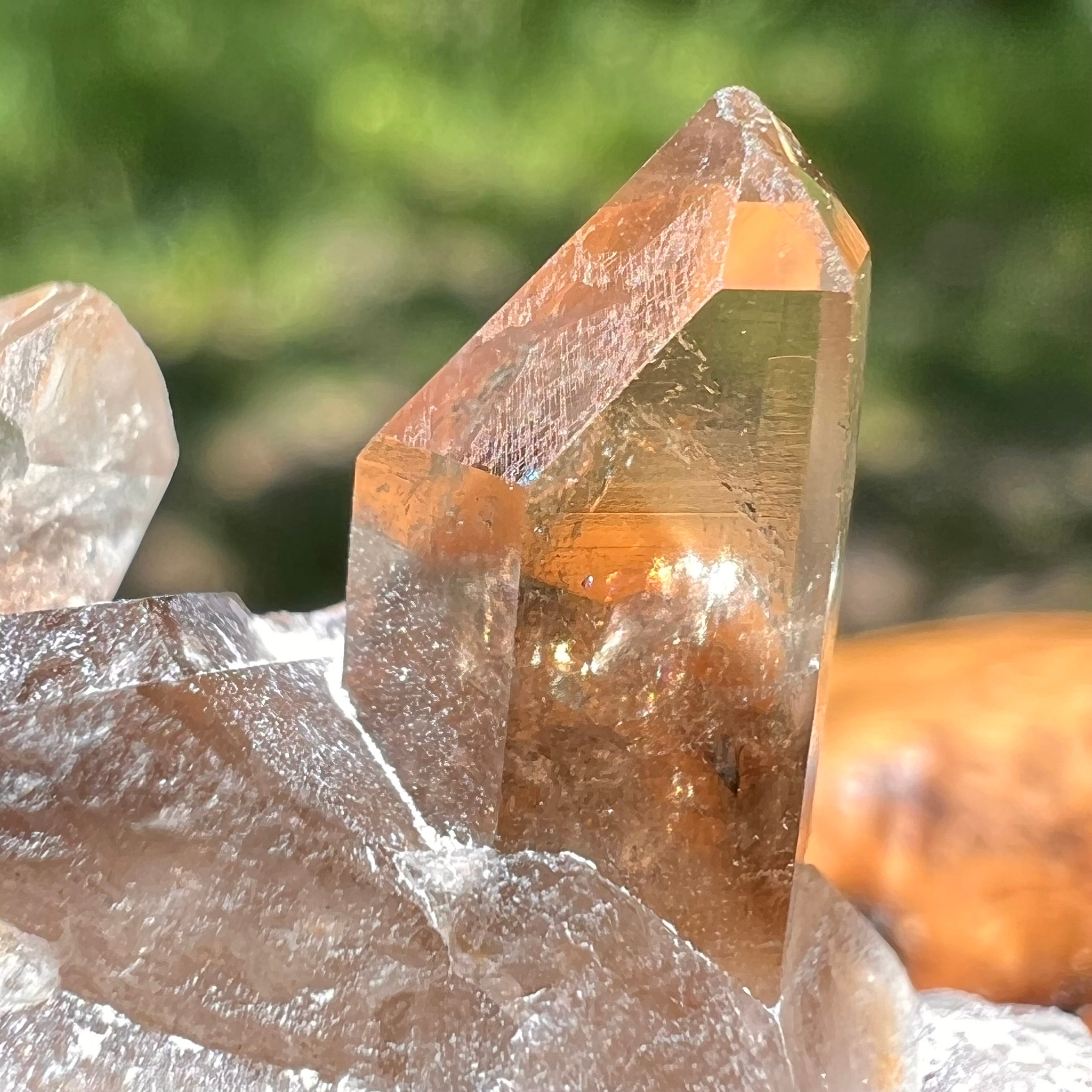 Real ALL orders Natural Citrine Crystal 19