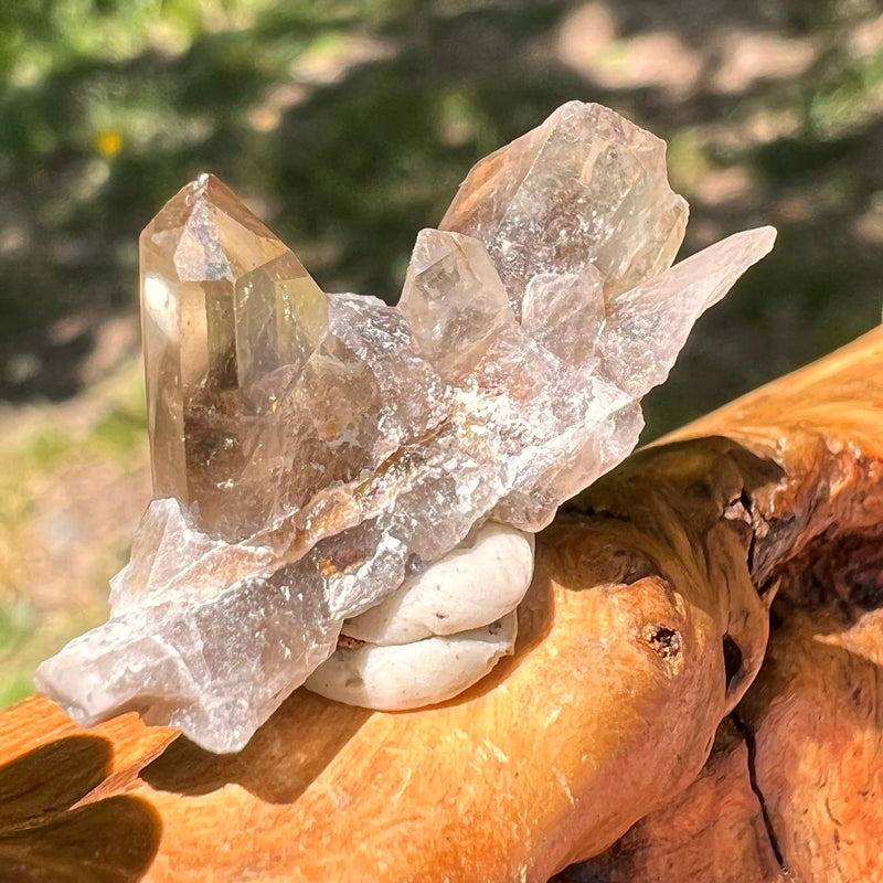 Natural Citrine Smoky Phantom Crystal Cluster #19-Moldavite Life