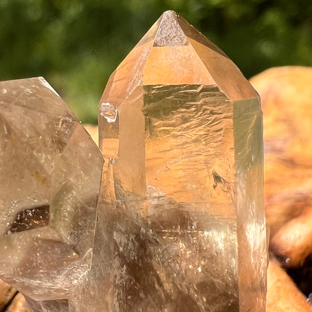 Natural Citrine Smoky Phantom Crystal Cluster #23-Moldavite Life