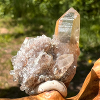 Natural Citrine Smoky Phantom Crystal Cluster #32-Moldavite Life