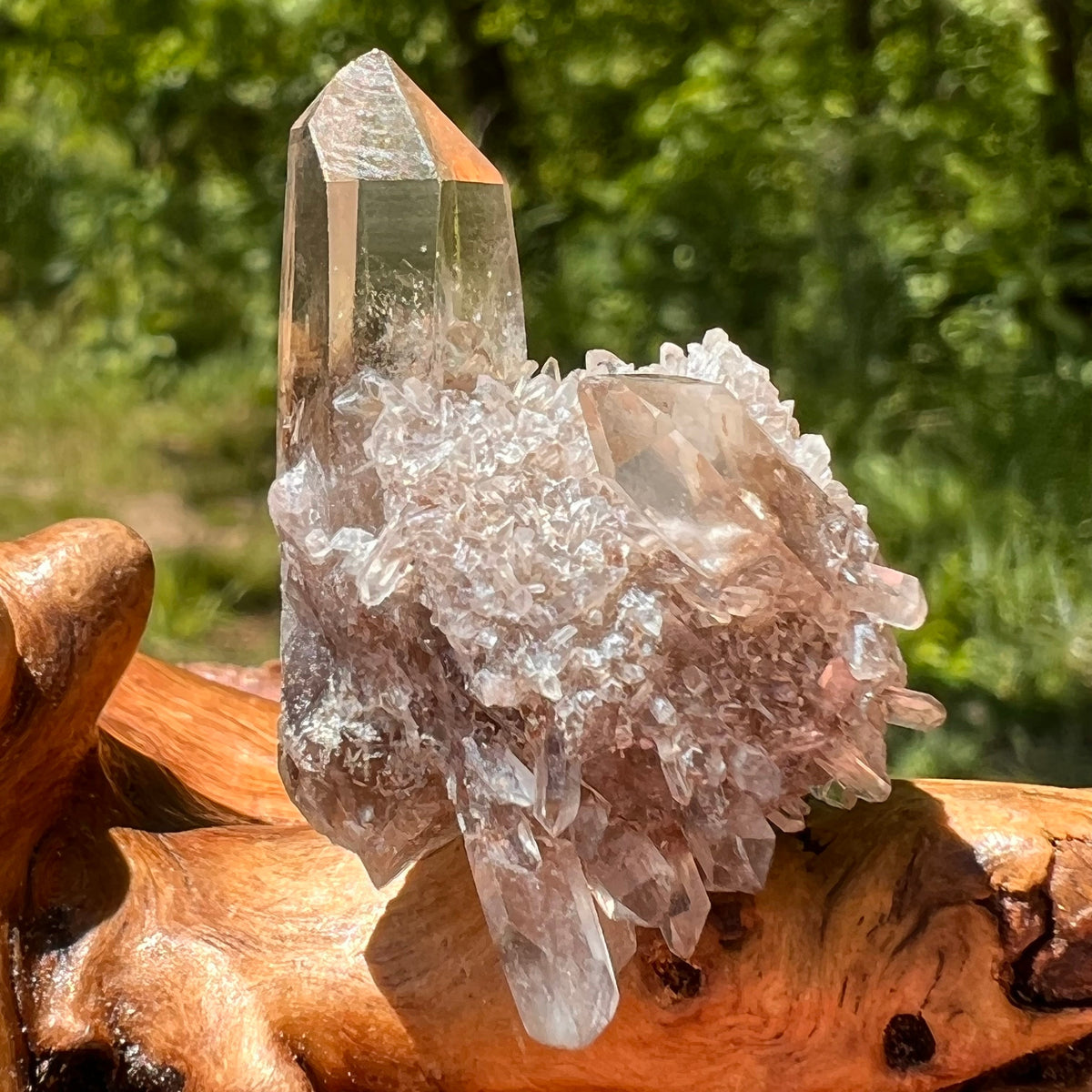 Natural Citrine Smoky Phantom Crystal Cluster #32-Moldavite Life