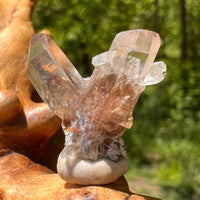 Natural Citrine Smoky Phantom Crystal Cluster #36-Moldavite Life