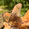 Natural Citrine Smoky Phantom Crystal Cluster #39-Moldavite Life