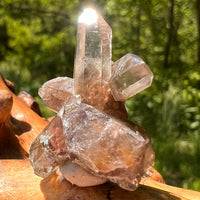 Natural Citrine Smoky Phantom Crystal Cluster #49-Moldavite Life