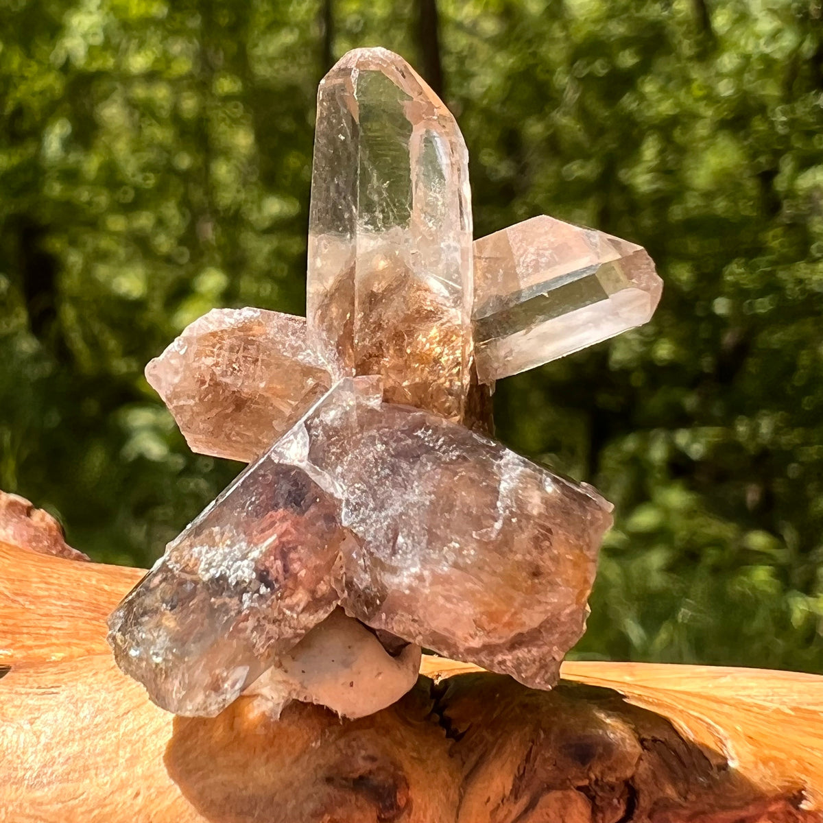 Natural Citrine Smoky Phantom Crystal Cluster #49-Moldavite Life