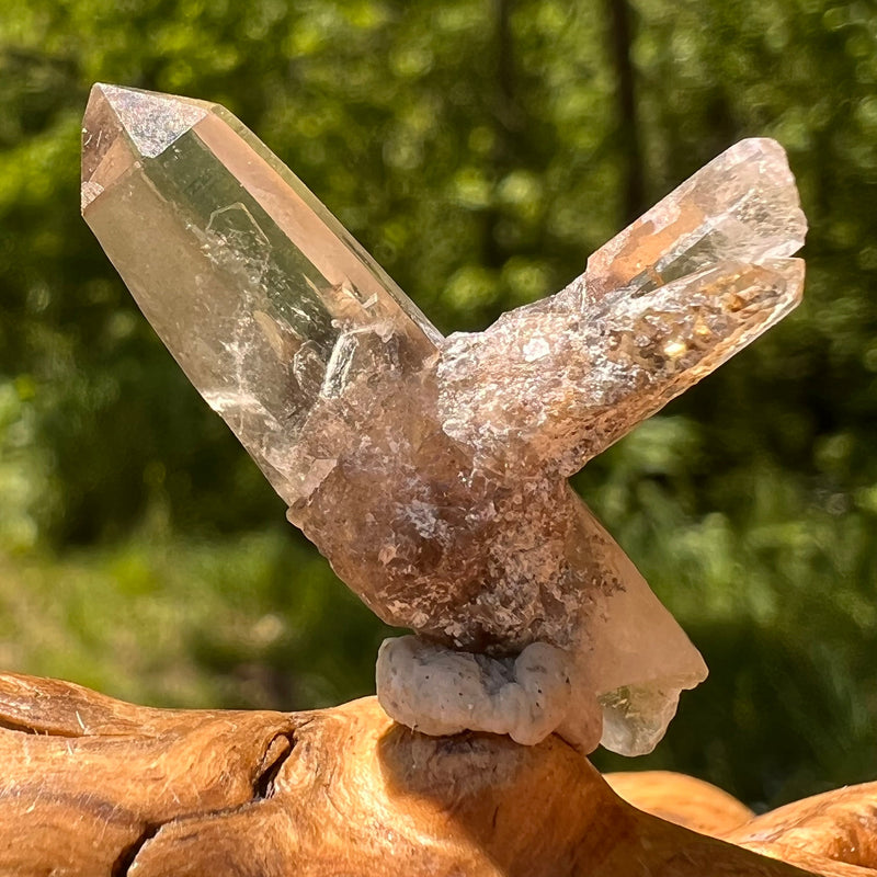 Natural Citrine Smoky Phantom Crystal Cluster #57-Moldavite Life