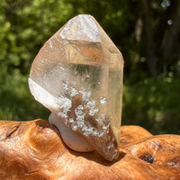Natural Citrine Smoky Phantom Crystal Point #10-Moldavite Life
