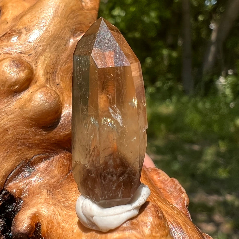 Natural Citrine Smoky Phantom Crystal Point #20-Moldavite Life
