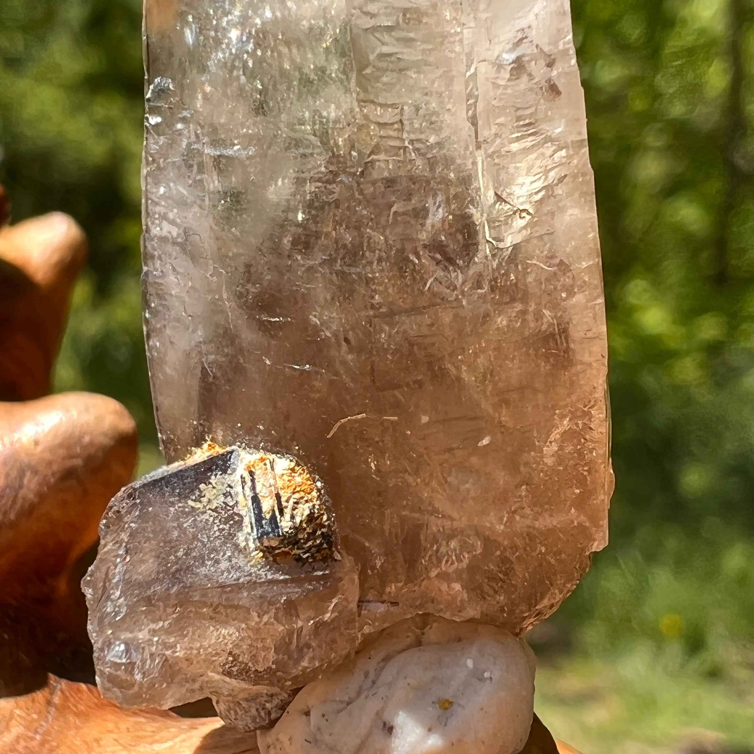 Natural Citrine Smoky Phantom Crystal Point #31-Moldavite Life