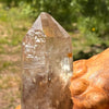 Natural Citrine Smoky Phantom Crystal Point #31-Moldavite Life