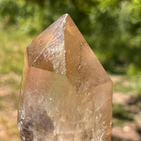 Natural Citrine Smoky Phantom Crystal Point #47-Moldavite Life
