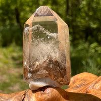 Natural Citrine Smoky Phantom Crystal Point #54-Moldavite Life