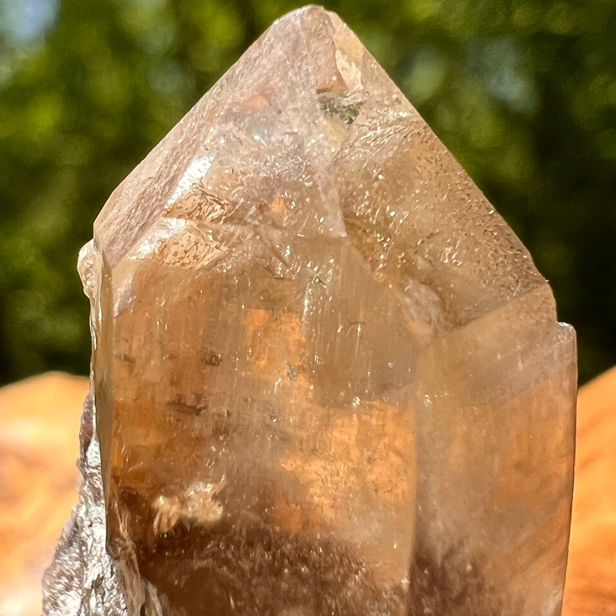 Natural Citrine Smoky Phantom Crystal Point #8-Moldavite Life