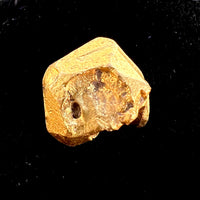 Palladian Gold Crystal #12-Moldavite Life