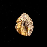 Palladian Gold Porpezite Crystal #8-Moldavite Life
