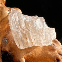 Petalite Crystal "Stone of the Angels" #45-Moldavite Life