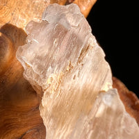 Petalite Crystal "Stone of the Angels" #54-Moldavite Life