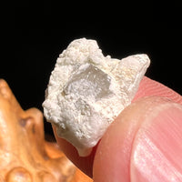 Phenacite Crystal in Matrix from Colorado #98-Moldavite Life