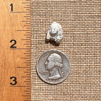 Phenacite Crystal in Matrix from Colorado #98-Moldavite Life