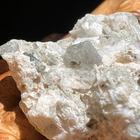 Phenacite Crystals in Matrix from Colorado #73-Moldavite Life