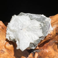 Phenacite Crystals in Matrix from Colorado #76-Moldavite Life