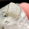 Phenacite Crystals in Matrix from Colorado #84-Moldavite Life