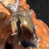 Raw Citrine Crystal Necklace Sterling Silver #2244-Moldavite Life
