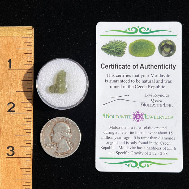 Raw Moldavite Bead for Jewelry Making #23-Moldavite Life