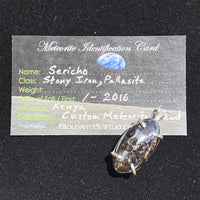 Sericho Meteorite Pendant Sterling Silver #1-Moldavite Life
