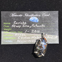 Sericho Meteorite Pendant Sterling Silver #2-Moldavite Life