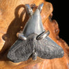 Shark Tooth Pendant Sterling Silver Fossil #3458-Moldavite Life