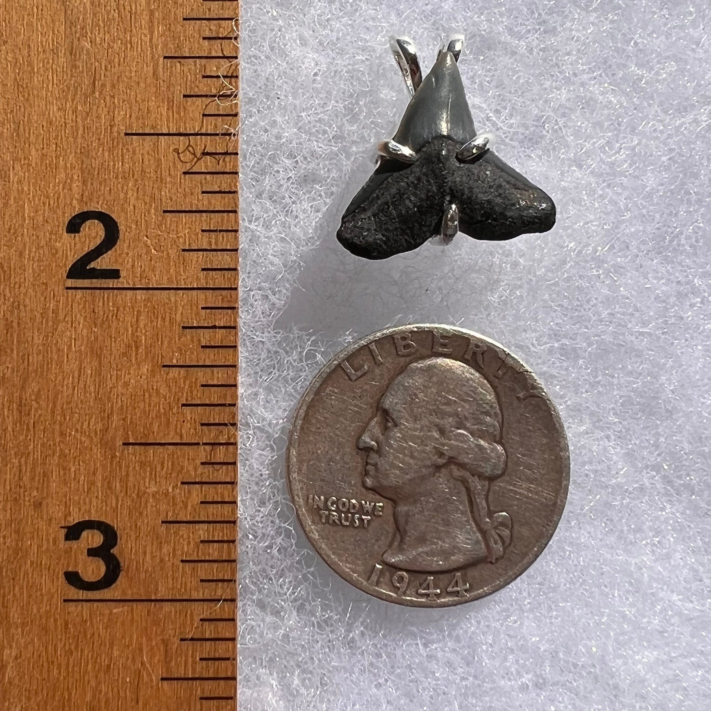 Shark Tooth Pendant Sterling Silver Fossil #3458-Moldavite Life