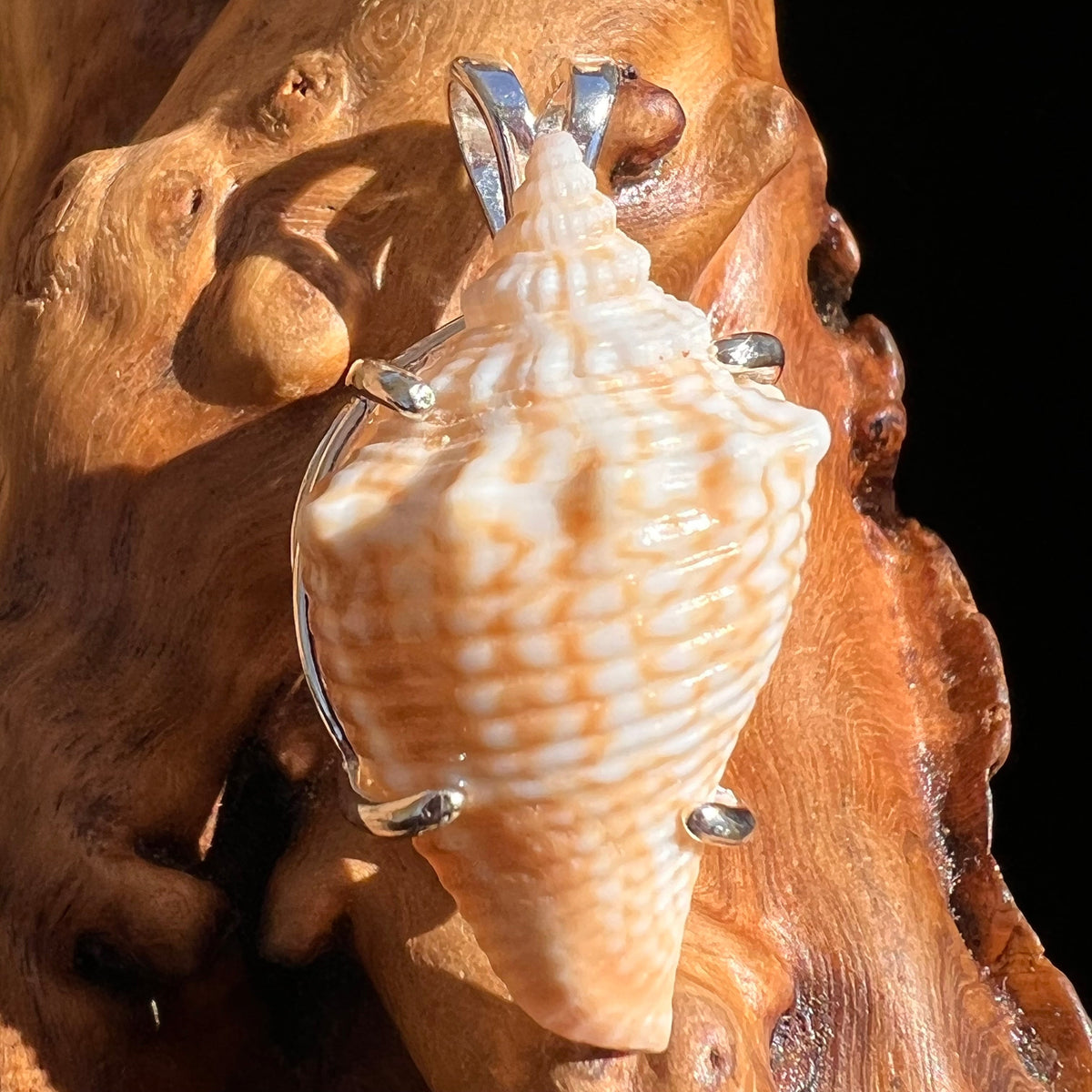 Shell Pendant Sterling Silver Natural Seashell #3463-Moldavite Life